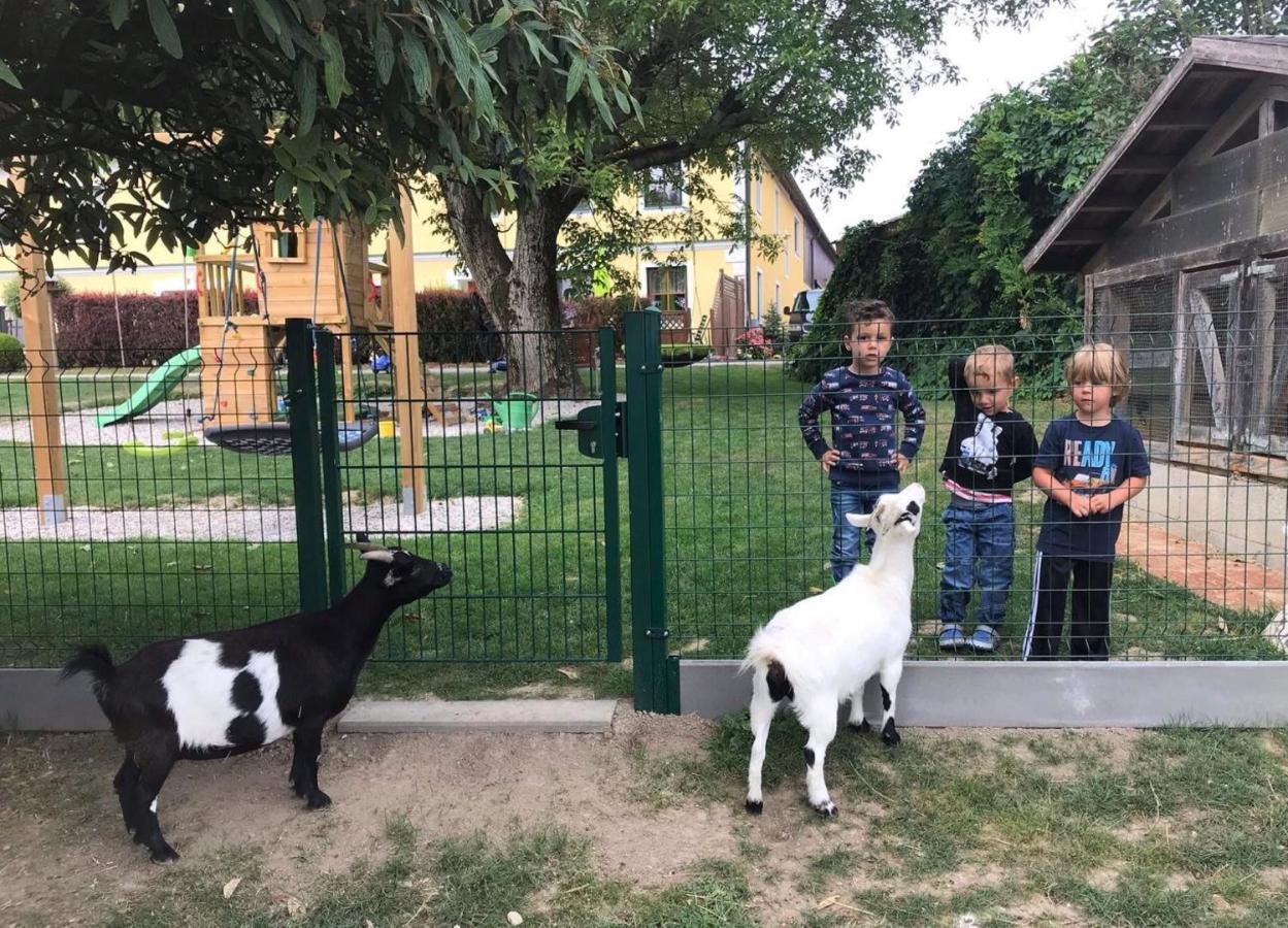 Familienbauernhof Strassbauer Villa Steinakirchen Am Forst Buitenkant foto