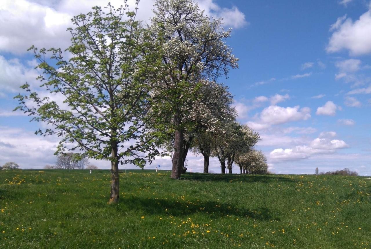 Familienbauernhof Strassbauer Villa Steinakirchen Am Forst Buitenkant foto